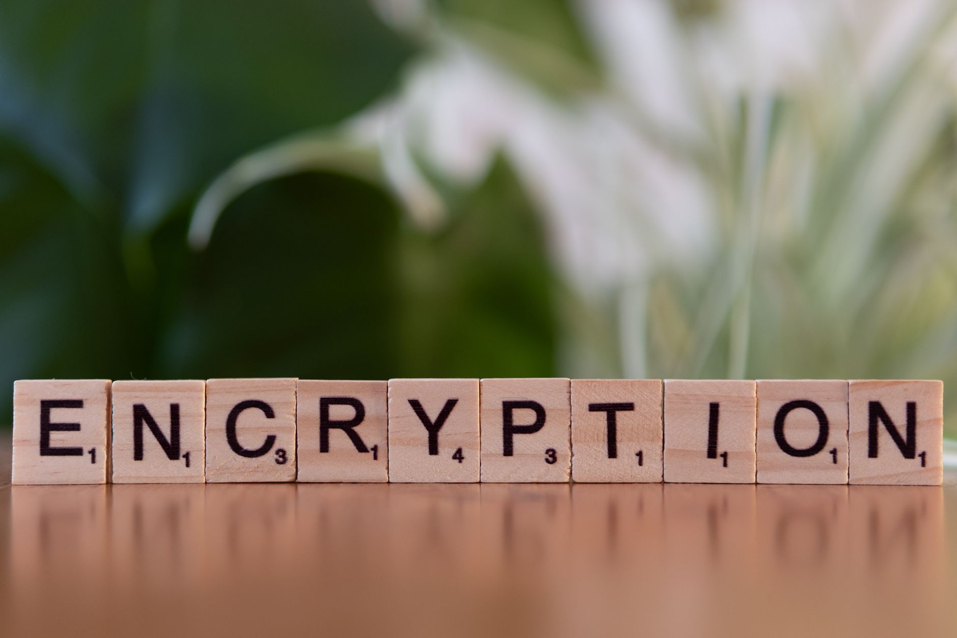 Zbliżenie na drewniane klocki układające się w napis encryption